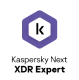 Logo de Kaspersky Next
